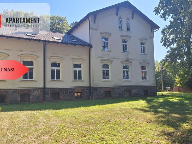 Zdjęcie ogłoszenia -  