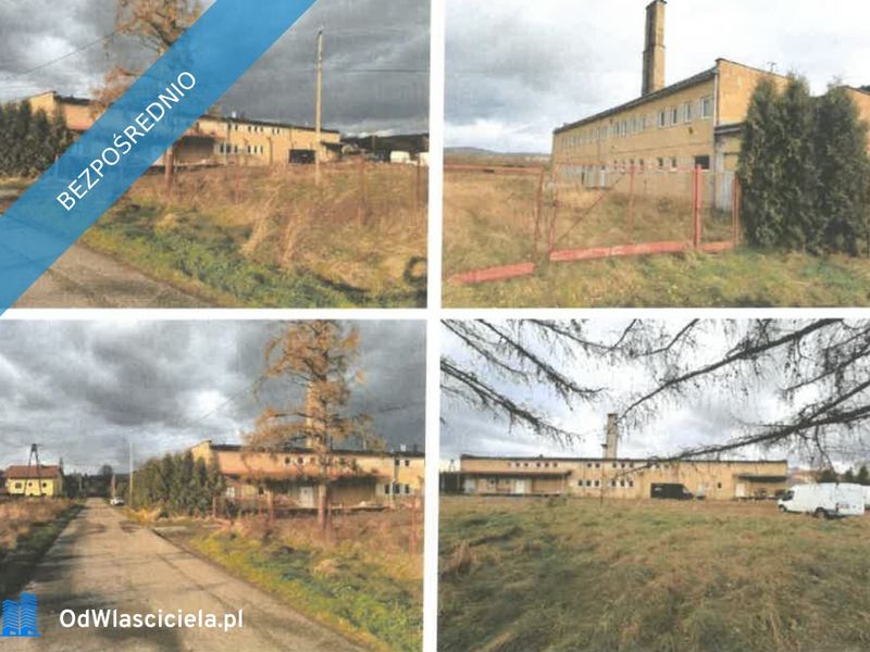 Zdjęcie ogłoszenia -  