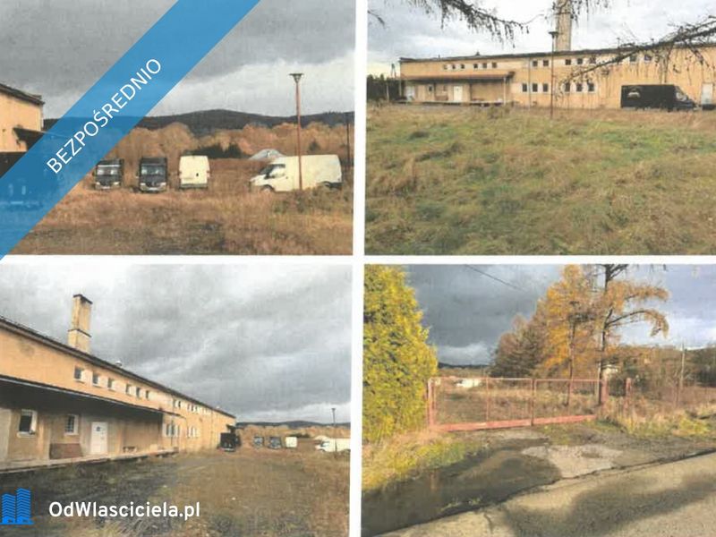 Zdjęcie ogłoszenia -  