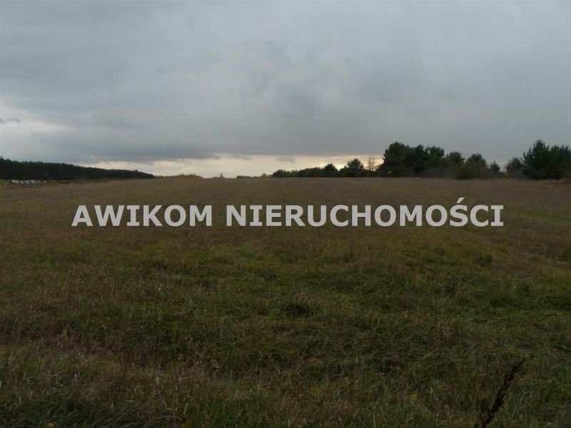 Zdjęcie ogłoszenia -  