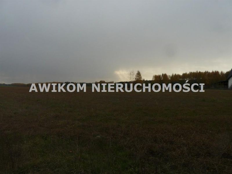 Zdjęcie ogłoszenia -  