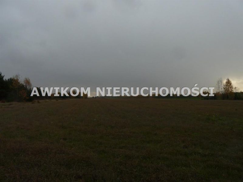 Zdjęcie ogłoszenia -  