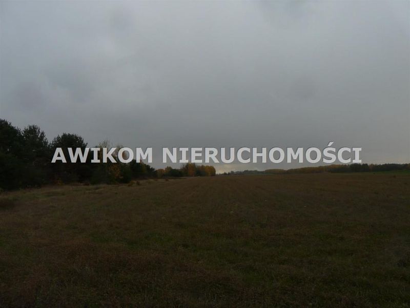 Zdjęcie ogłoszenia -  