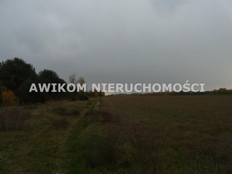 Zdjęcie ogłoszenia -  