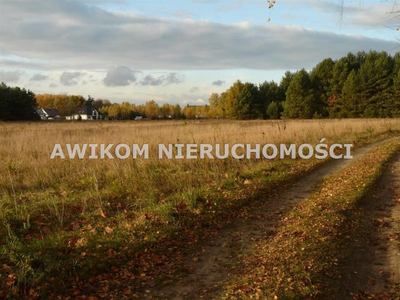 Zdjęcie ogłoszenia -  