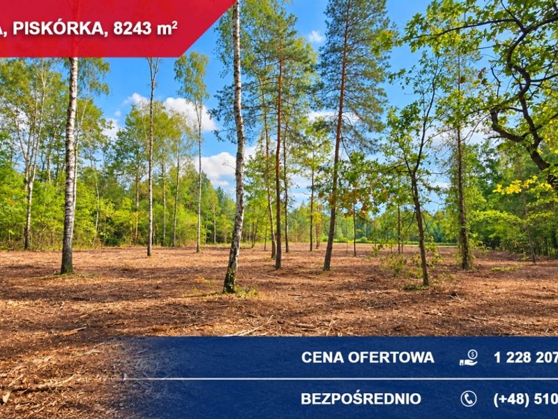Zdjęcie ogłoszenia -  