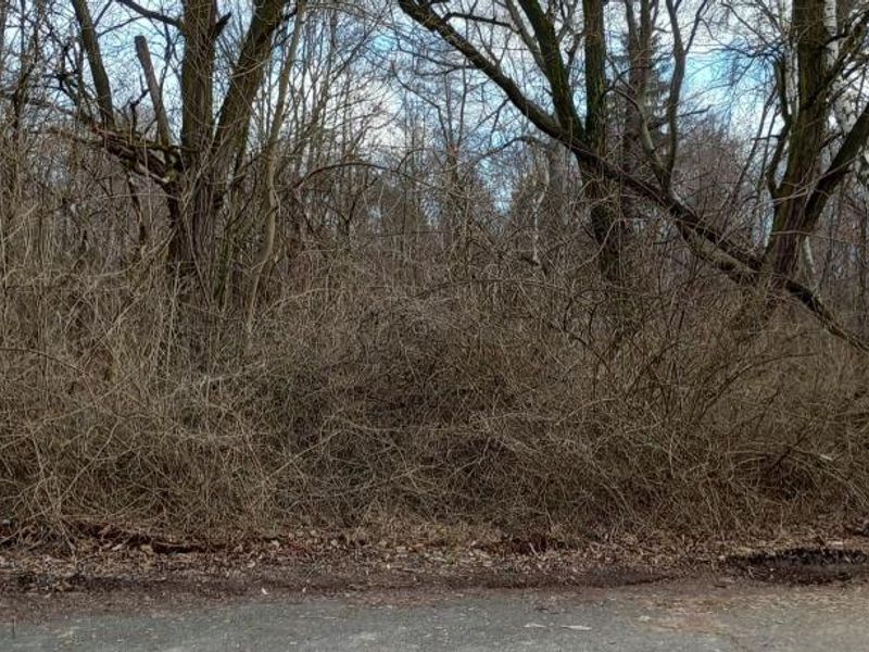 Działka inwestycyjna 4,44&nbsp;ha, Katowice, Goetla - ID: 15863427