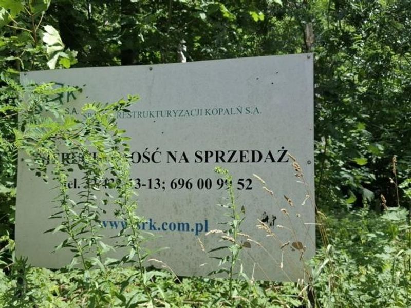 Zdjęcie ogłoszenia -  