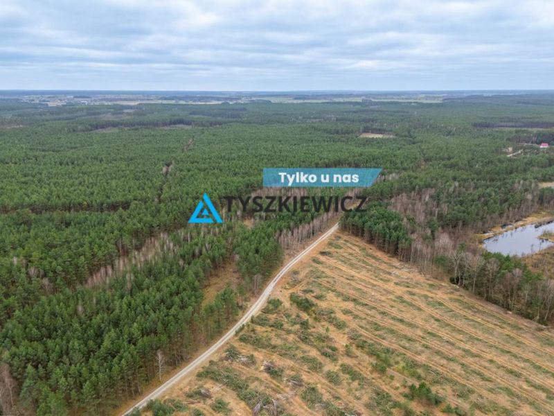 Działka leśna 6,72 ha | Jonki | gmina Konarzyny - ID: 15869746