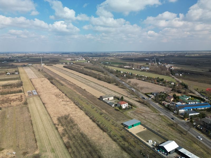 Zdjęcie ogłoszenia -  