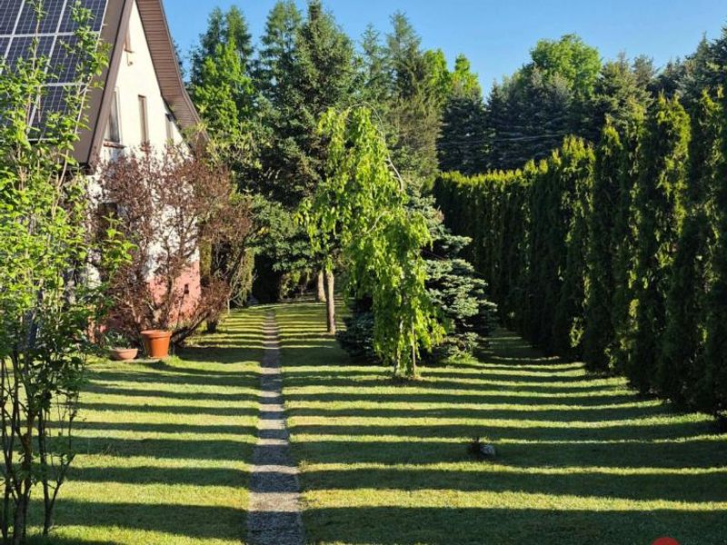 Zdjęcie ogłoszenia -  