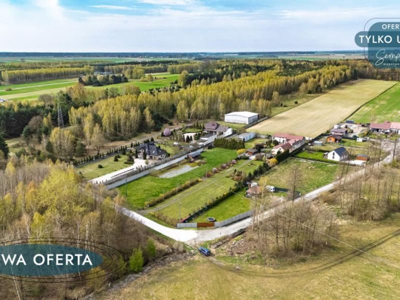 Zdjęcie ogłoszenia -  