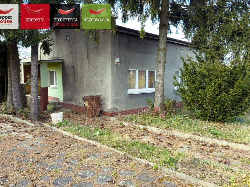 Zdjęcie ogłoszenia -  