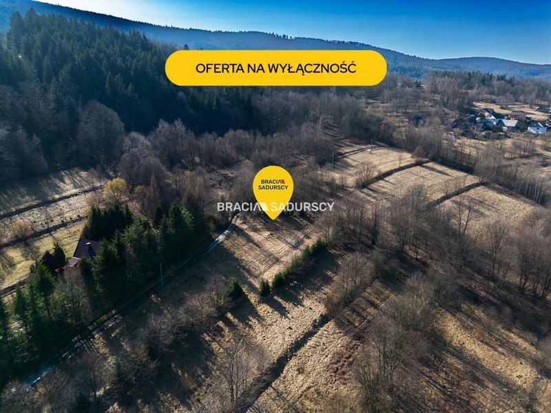 Zdjęcie ogłoszenia -  