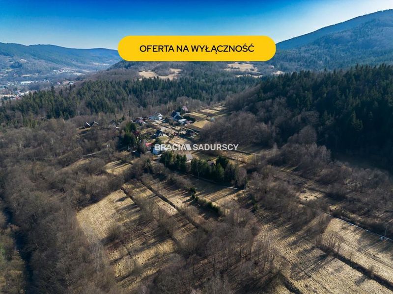 Zdjęcie ogłoszenia -  
