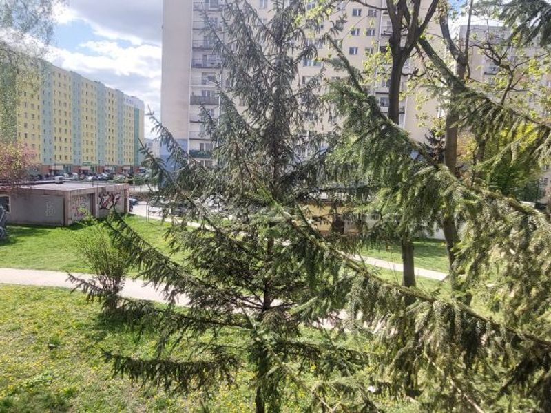 Zdjęcie ogłoszenia -  