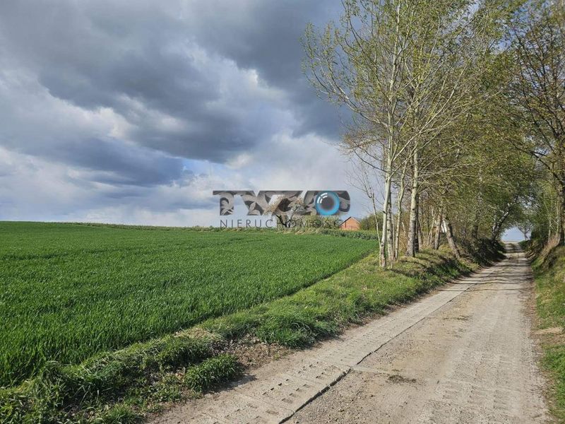 Zdjęcie ogłoszenia -  