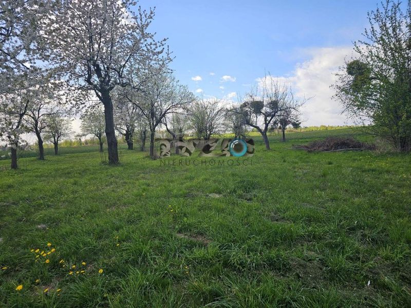 Zdjęcie ogłoszenia -  