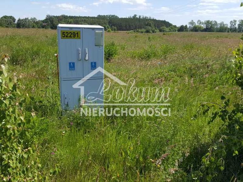 Zdjęcie ogłoszenia -  