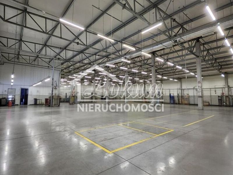 Lokal usługowy do wynajęcia, 2257&nbsp;m², Szczecin - ID: 15882950