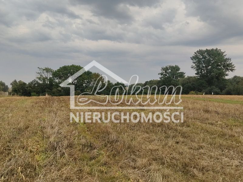 Działka rolna 2438 m², Barnisław - ID: 15882956