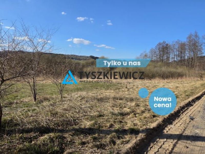 Działka z linią brzegową Ostrzyce - ID: 15884042