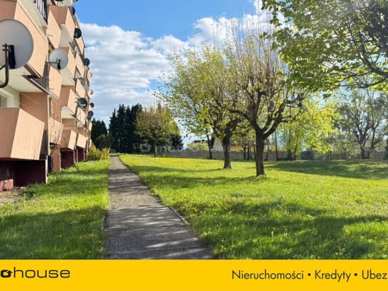 Zdjęcie ogłoszenia -  