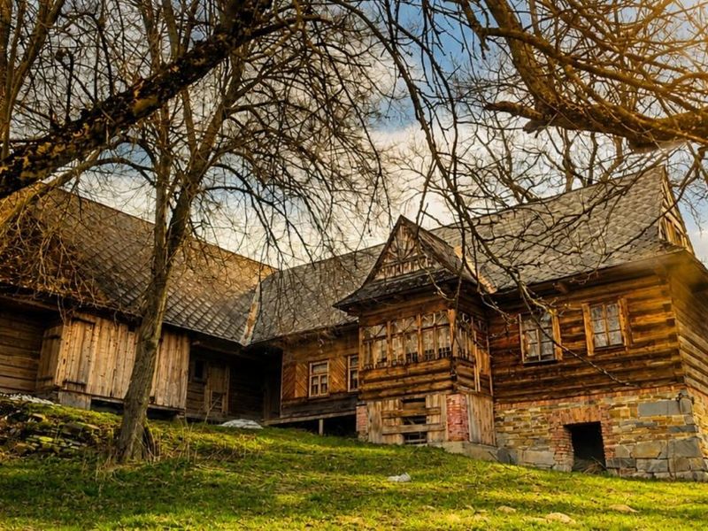Zdjęcie ogłoszenia -  