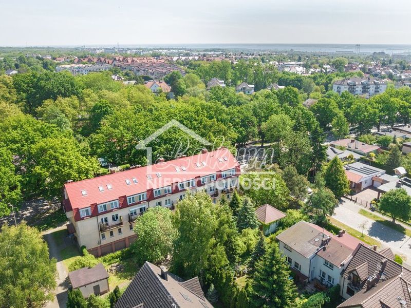 Zdjęcie ogłoszenia -  