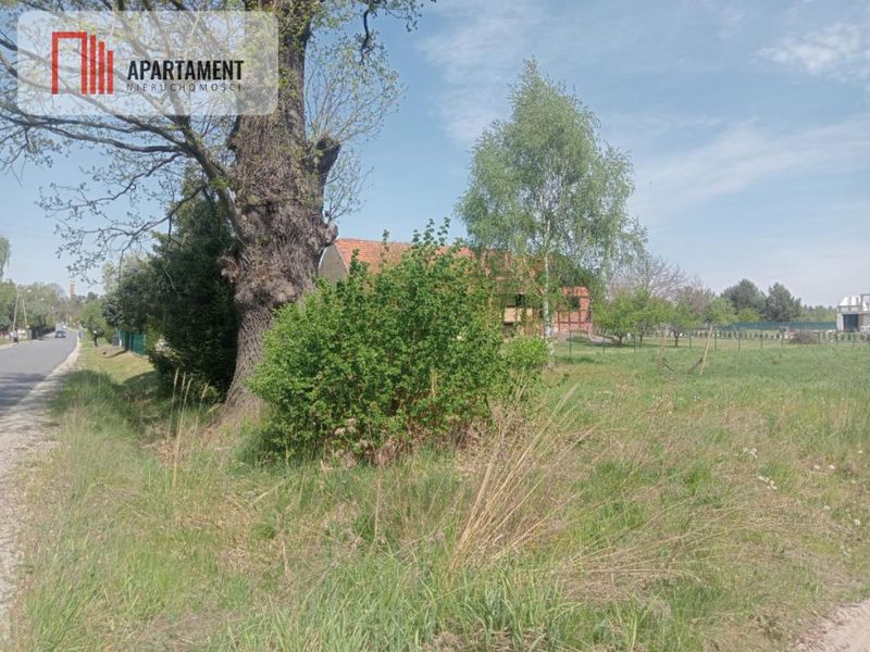 Zdjęcie ogłoszenia -  