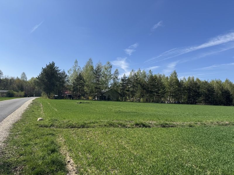 Zdjęcie ogłoszenia -  