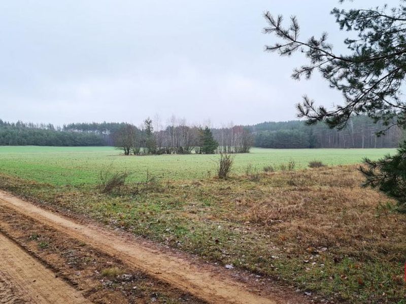 Zdjęcie ogłoszenia -  