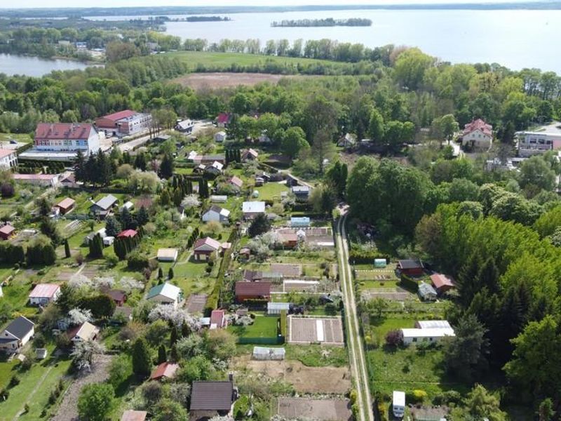 Zdjęcie ogłoszenia -  