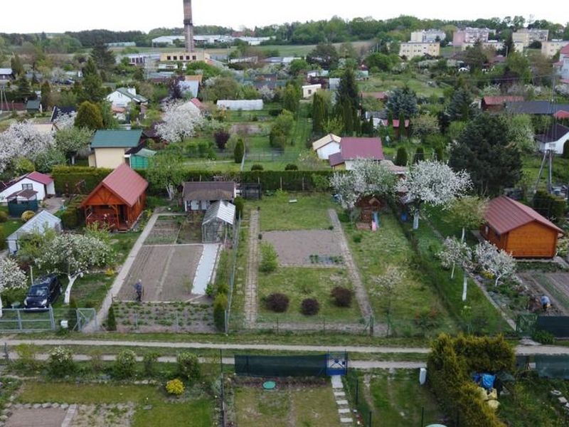 Zdjęcie ogłoszenia -  