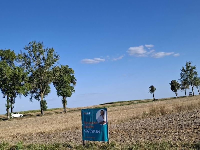 Zdjęcie ogłoszenia -  