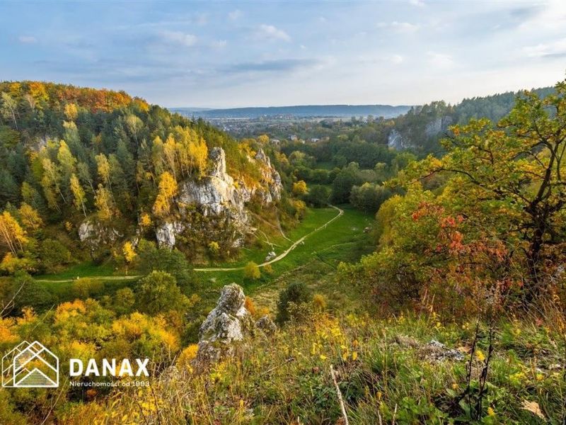 Zdjęcie ogłoszenia -  