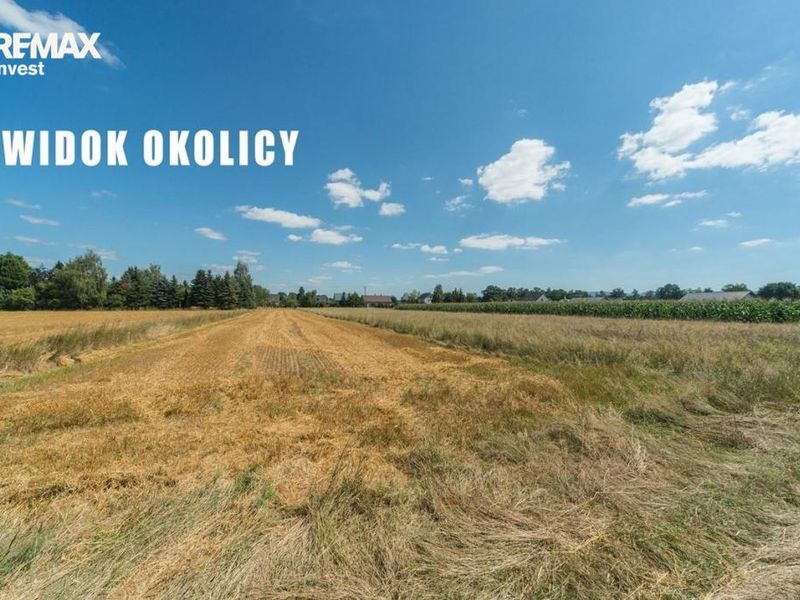 Zdjęcie ogłoszenia -  