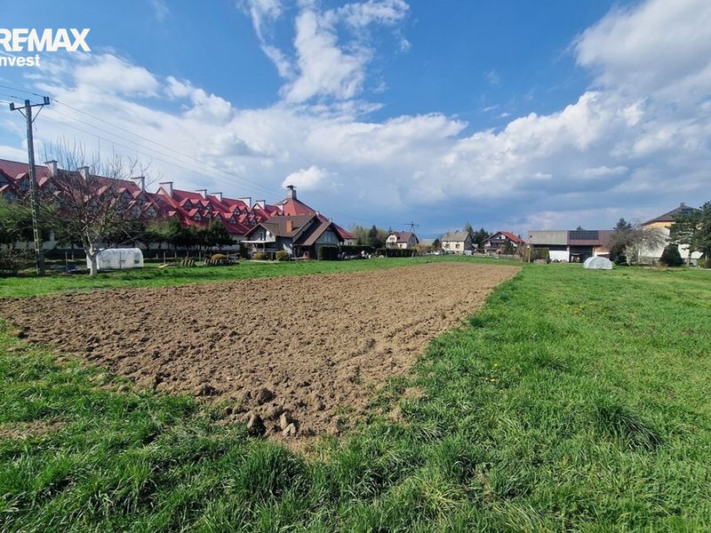 Zdjęcie ogłoszenia -  