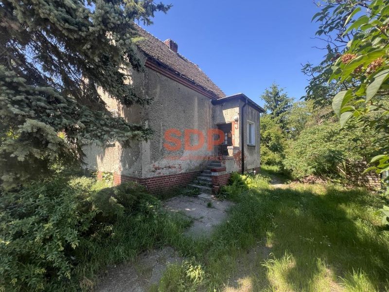 Zdjęcie ogłoszenia -  