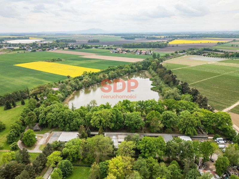 Zdjęcie ogłoszenia -  