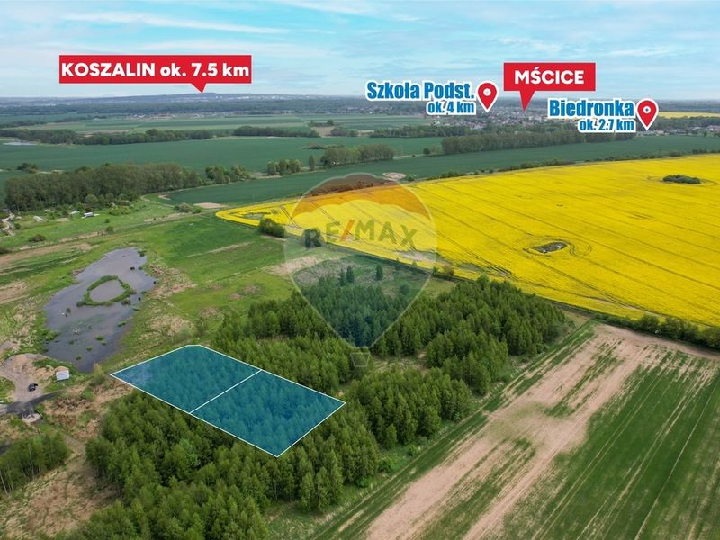 Zdjęcie ogłoszenia -  