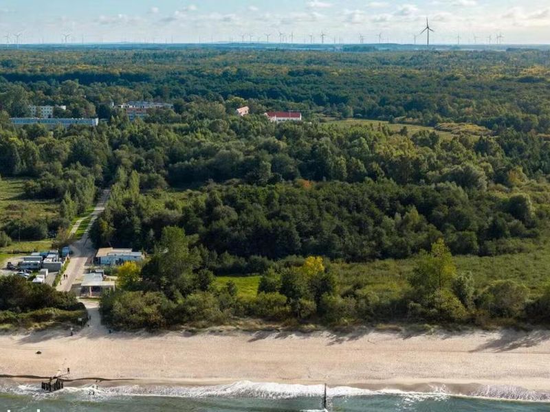 Zdjęcie ogłoszenia -  