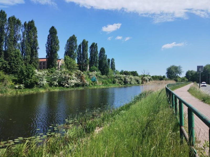 Zdjęcie ogłoszenia -  