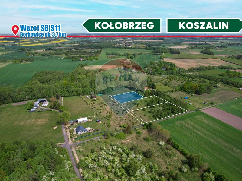Zdjęcie ogłoszenia -  