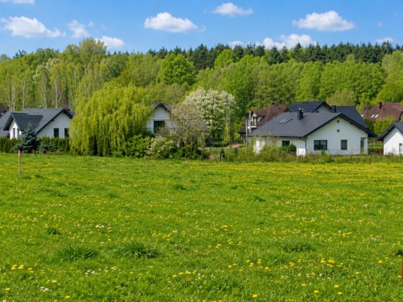 Zdjęcie ogłoszenia -  