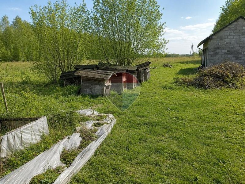 Zdjęcie ogłoszenia -  