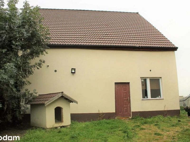 Zdjęcie ogłoszenia -  