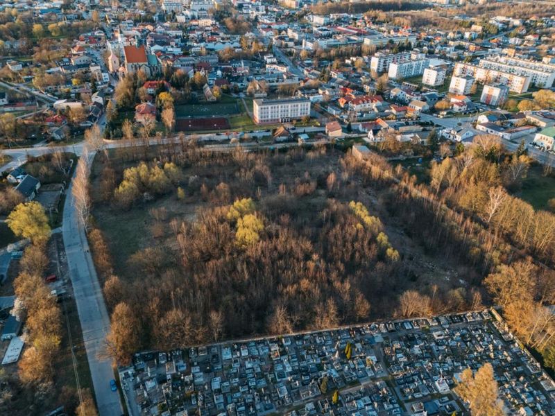 Zdjęcie ogłoszenia -  