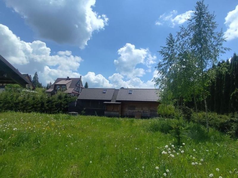 Zdjęcie ogłoszenia -  