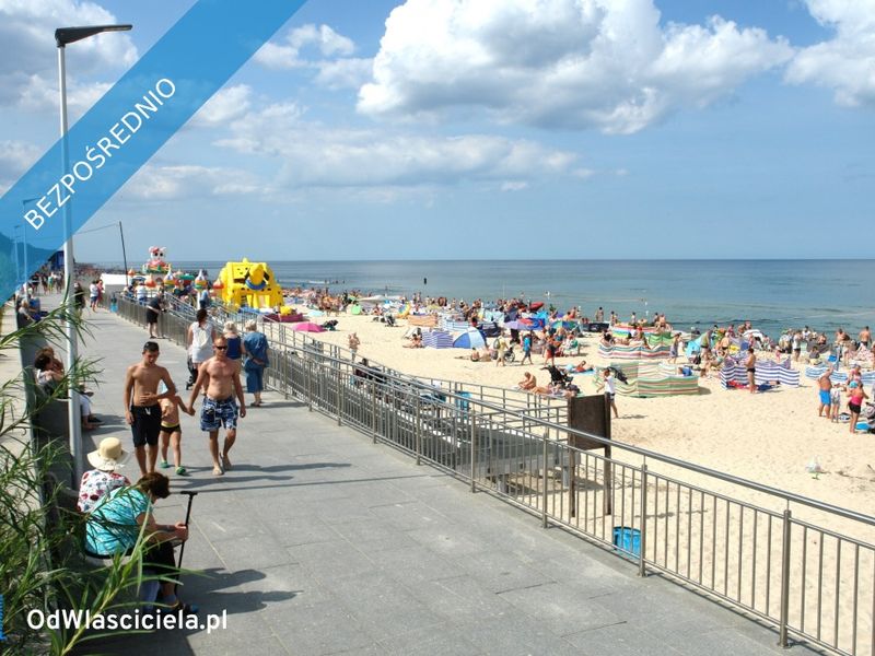 Zdjęcie ogłoszenia -  